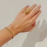 Anillo Fluid